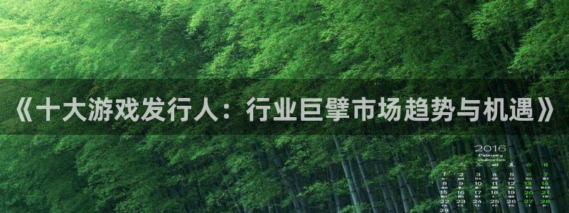 杏耀子出版社：《十大游戏发行人：行业巨擘市场趋势与机遇》
