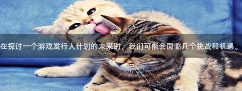 杏耀科技：在探讨一个游戏发行人计划的未来时，我们可能会面临几个挑战和机遇。