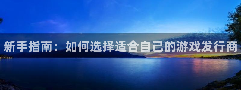 杏耀官网是什么娱乐?：新手指南：如何选择适合自己的游戏发行商