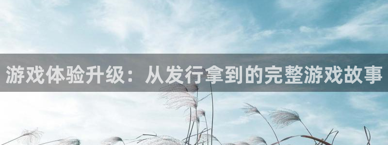 杏耀子 到底怎么样