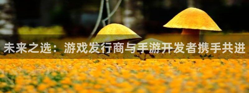 杏耀集团公司怎么样：未来之选：游戏发行商与手游开发者携手共进