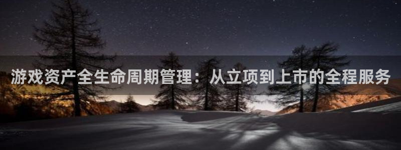 杏耀图片：游戏资产全生命周期管理：从立项到上市的全程服务