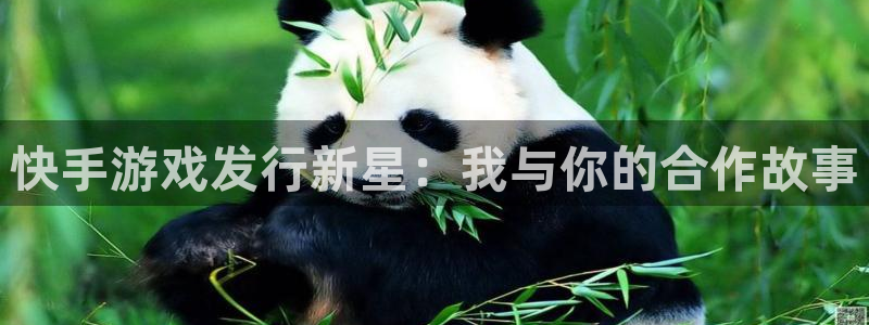 杏耀官网游戏平台高奖金玩法：快手游戏发行新星：我与你的合作故事