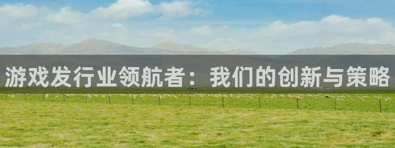 杏耀官网登录注册账号安全吗是真的吗：游戏发行业领航者：我们的创新与策略