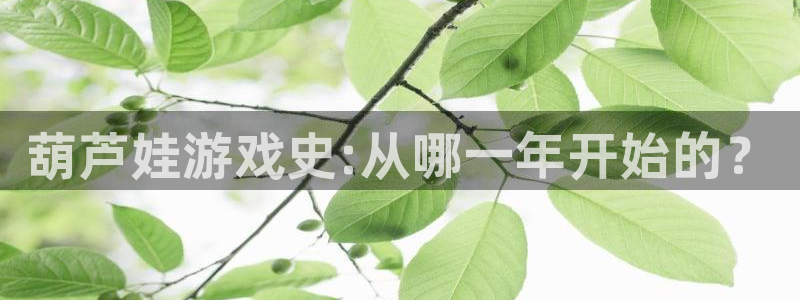 广州杏耀网络科技有限公司怎么样