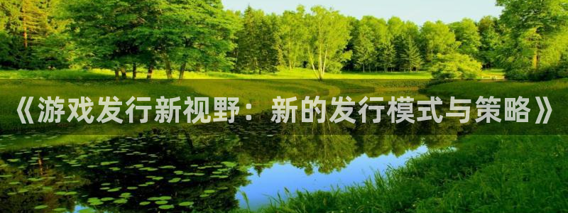 杏耀的寓意：《游戏发行新视野：新的发行模式与策略》