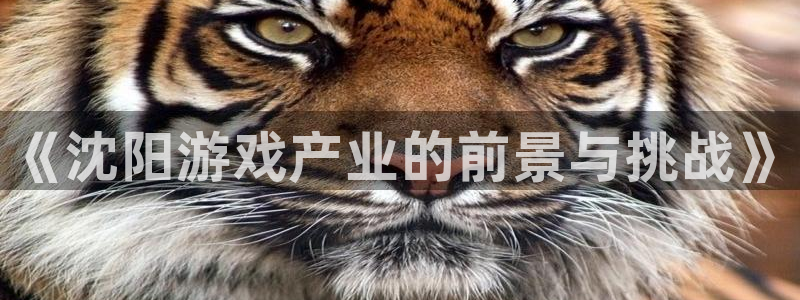 杏耀价格