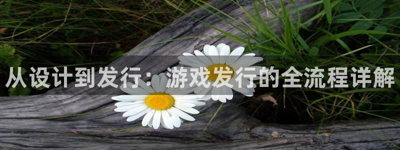 杏耀官网注册地址在哪里查询：从设计到发行：游戏发行的全流程详解
