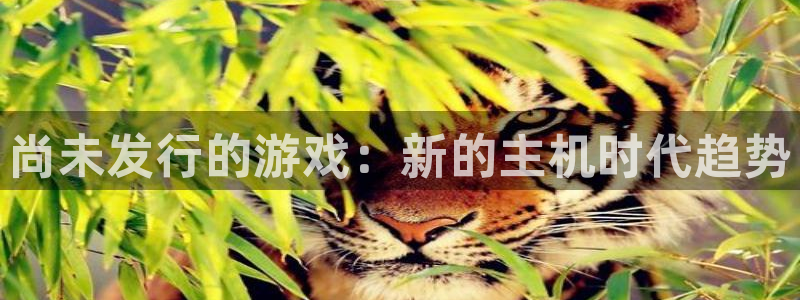 杏耀官网代理开号多少钱