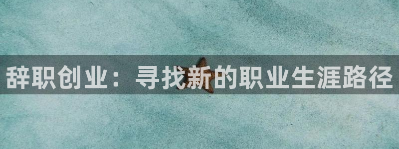 杏耀官网官网注册账号密码：辞职创业：寻找新的职业生涯路径