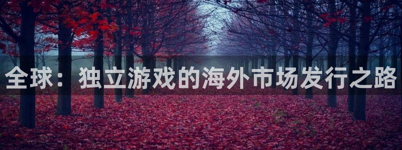 杏耀官网挂机项目怎么样：全球：独立游戏的海外市场发行之路