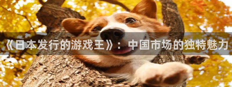 广州杏耀投资管理顾问有限公司