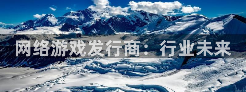 杏耀官网的钱能提出来吗：网络游戏发行商：行业未来